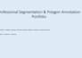 do professional polygon annotation